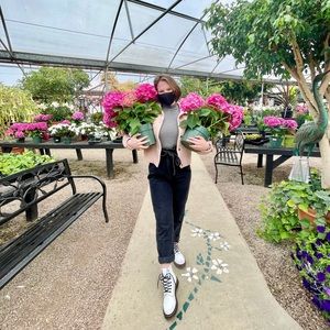 Meet your Posher, Molly